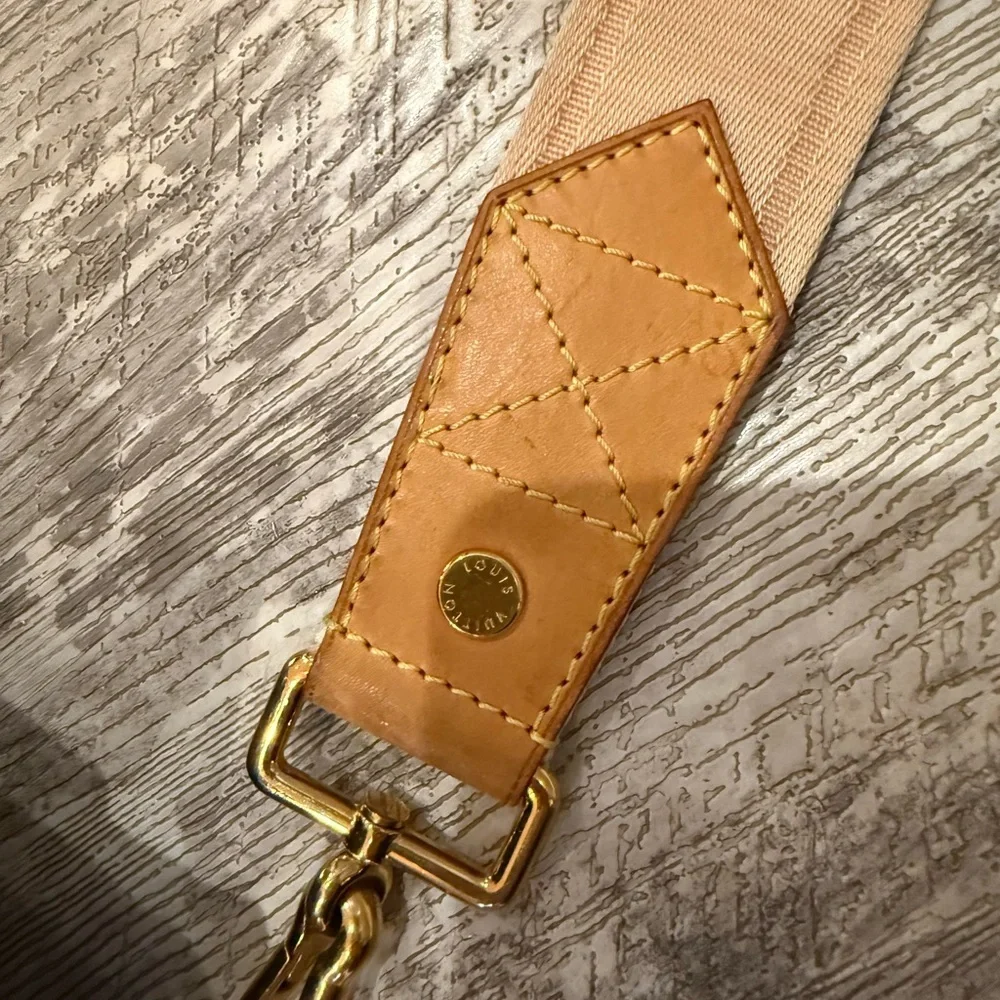Louis Vuitton *RARE* Raindrop Besase Bag